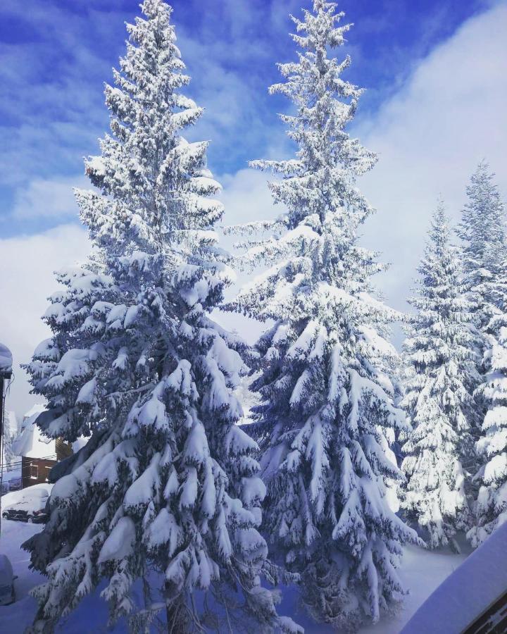 Apartament Jahor Dis 7 I 8 Jahorina